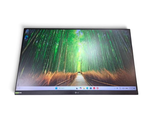 LG 24Gs60F