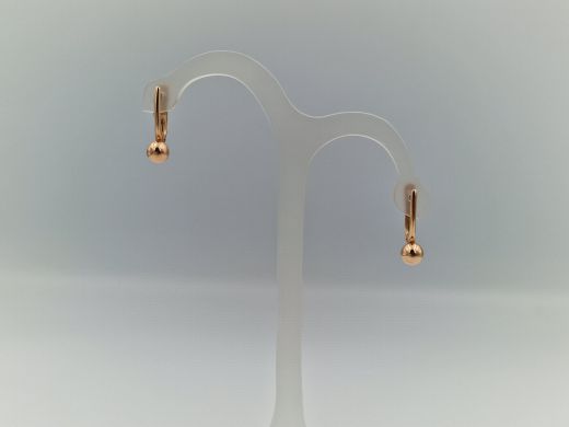 Zelta auskari, 2.5 g