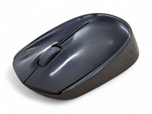 Logitech Wireless Mouse 