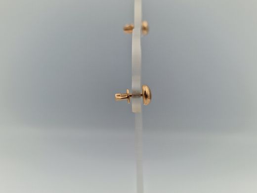 Zelta auskari, 1.9 g