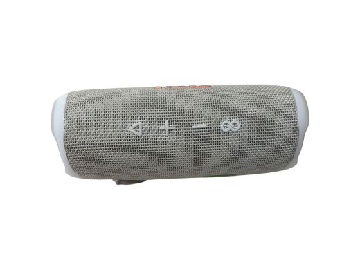 JBL Flip 6 