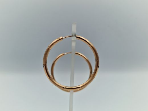 Zelta auskari, 2.79 g