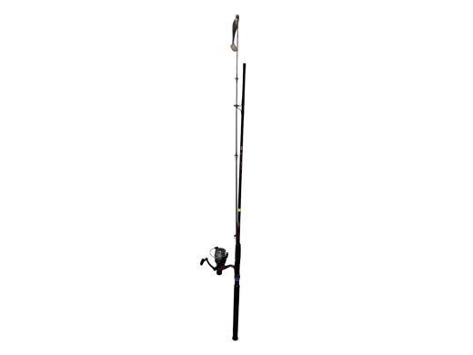 Spinings Golden Lady 2.40M