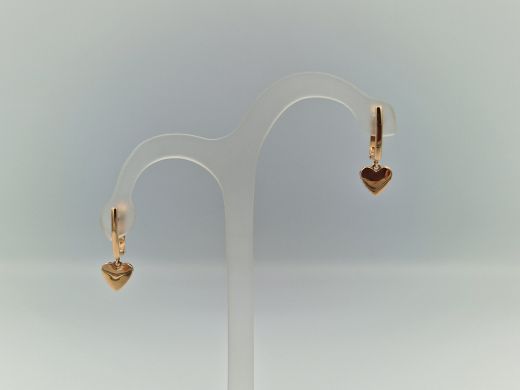 Zelta auskari, 2.7 g