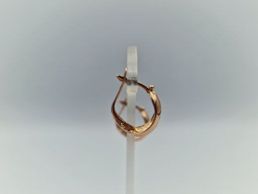 Zelta auskari ar cirkoniju, 2.56 g