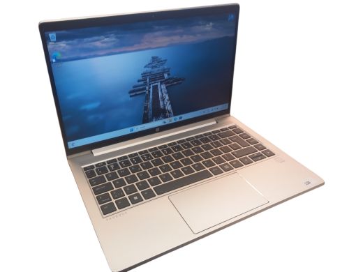 HP Probook 445 G8 256 gb