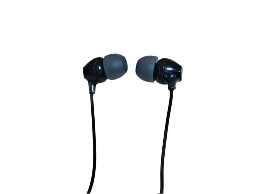 Sony Wi-C300