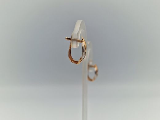 Zelta auskari, 3.01 g