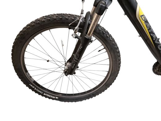 Batavus Am 300