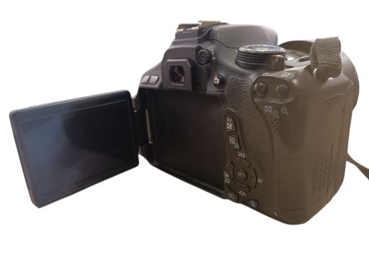 Canon Ds126311