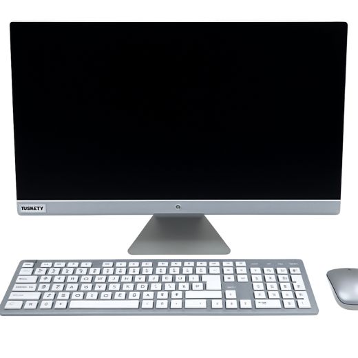 ASUS Vivo AIO 22 512