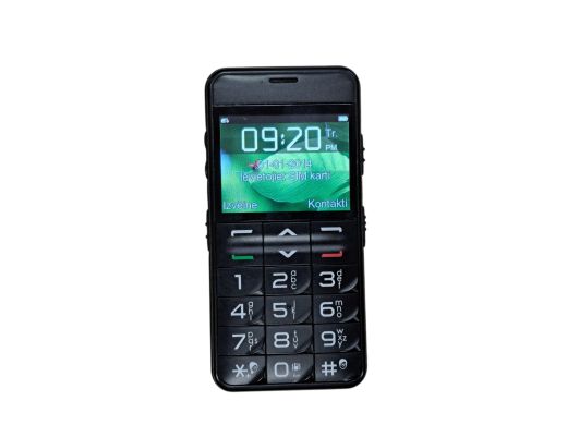 ZTE S207