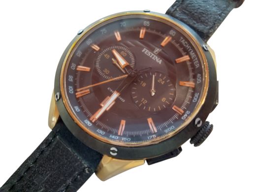 Festina F16831