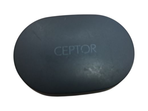Roxcore Ceptor Go Tws Stereo Earphones