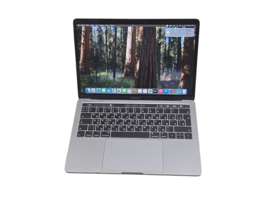 Apple Macbookpro A2159 256 gb