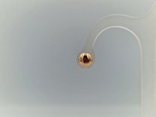 Zelta auskari, 1.9 g