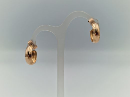 Zelta auskari, 3.21 g