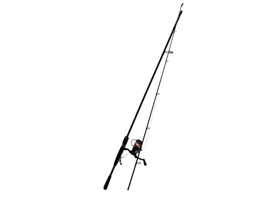 Salmo Spin