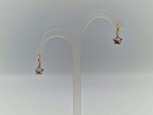 Zelta auskari, 1.01 g