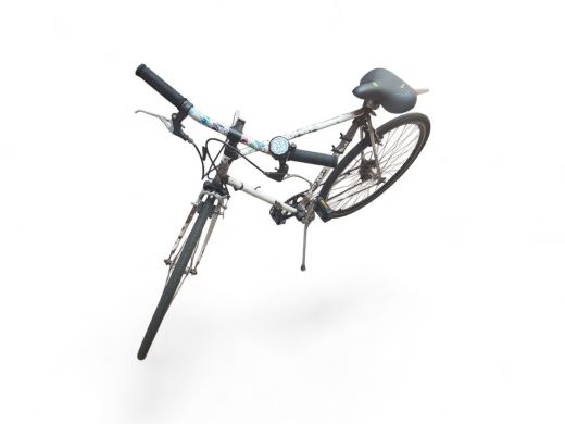 van risel Terra