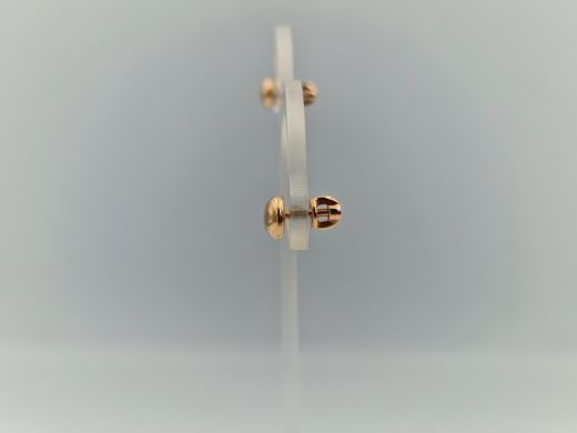 Zelta auskari, 1.85 g