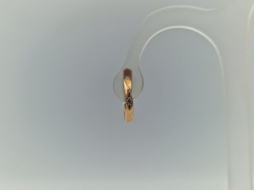 Zelta auskari, 2.63 g