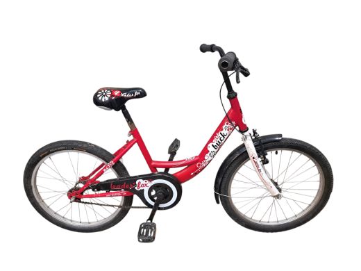 Leader Fox Girl Buck 20