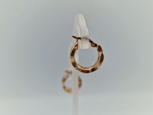 Zelta auskari, 2.93 g