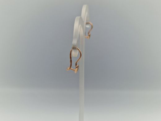 Zelta auskari, 1.02 g