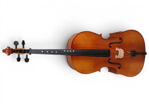 Hidersine Vivente Finetune 4/4