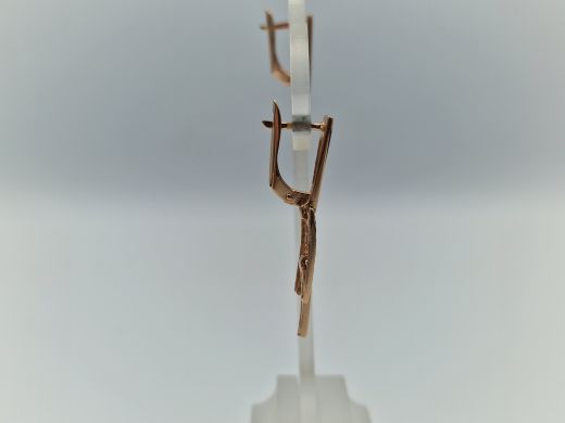 Zelta auskari, 3.65 g