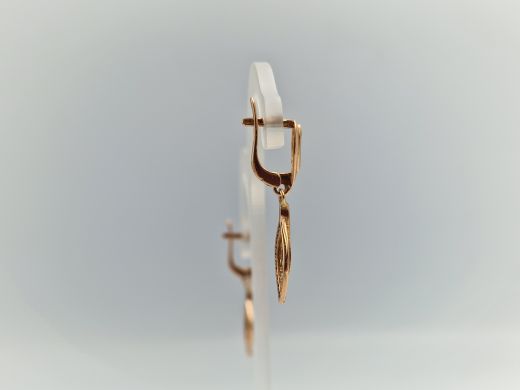 Zelta auskari, 2.46 g