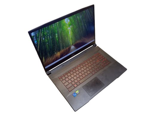 MSI Sword 17 512 gb