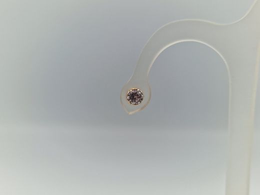 Zelta auskari, 1.55 g