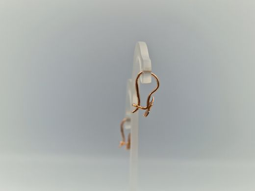 Zelta auskari, 0.99 g