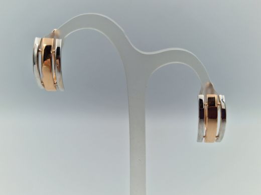 Zelta auskari, 1.46 g