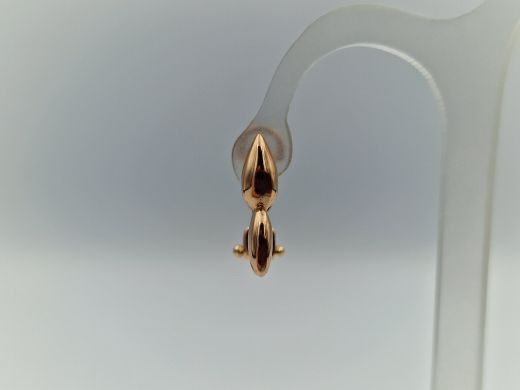 Zelta auskari, 2.81 g