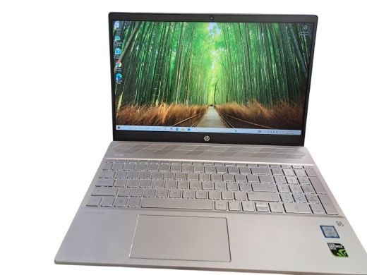 HP HP Pavilion Laptop 15-cs1xxx 512