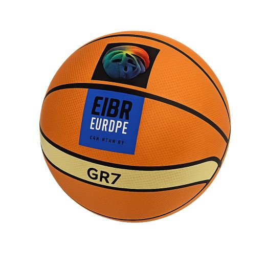 Molten Official Basketball gr7 