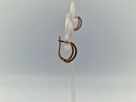 Zelta auskari ar cirkoniju, 5.61 g