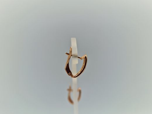 Zelta auskari, 2.02 g