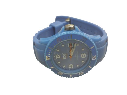ICE Watch