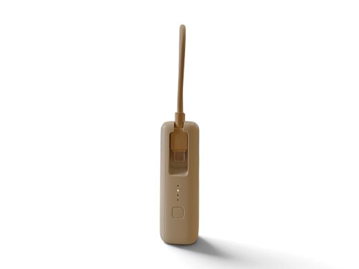 Xiaomi 10000 mah