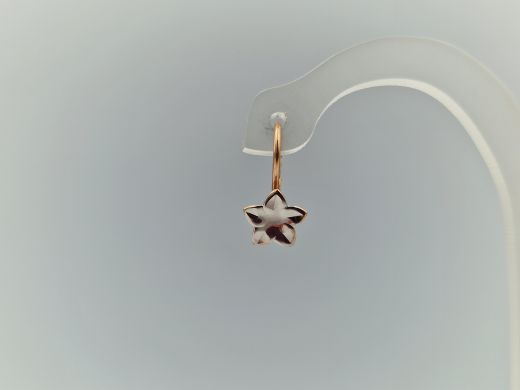 Zelta auskari, 0.99 g