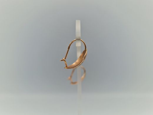 Zelta auskari, 2.54 g