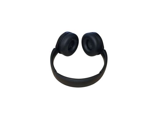 Sony Wh-Ch520