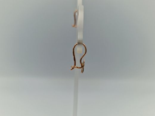 Zelta auskari, 1.01 g