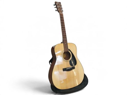 Yamaha F310P