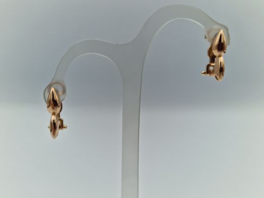 Zelta auskari, 2.81 g