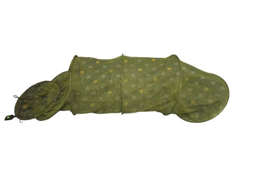 Salmo
